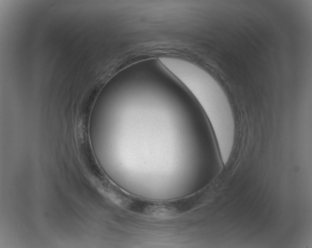 X0000081350597200701111108