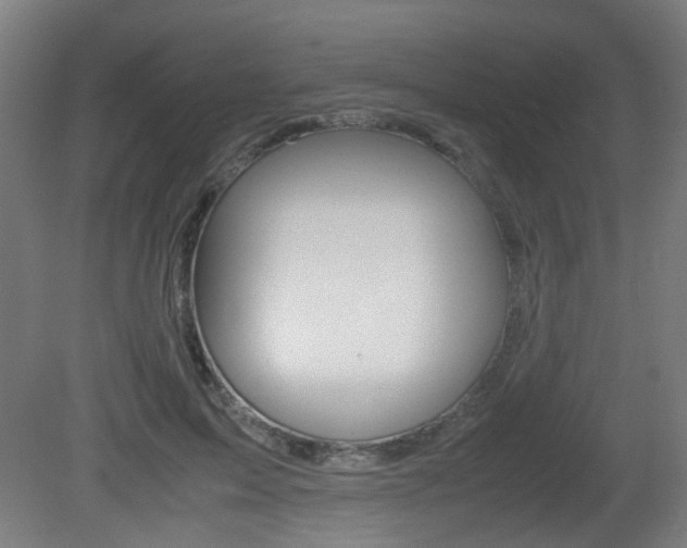 X0000081350599200701111108