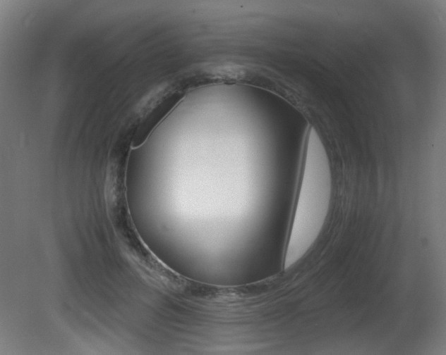X0000081350600200701111108