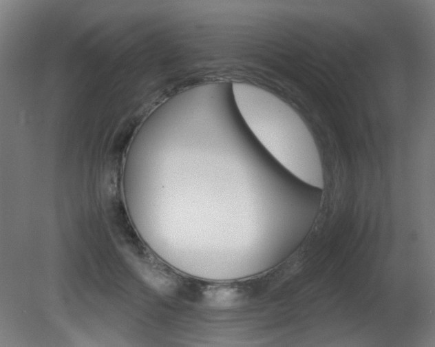 X0000081350602200701111108