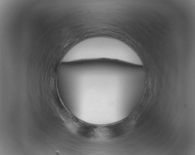 X0000081350603200701111108