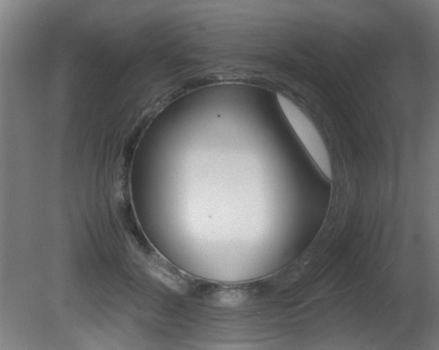 X0000081350604200701111108