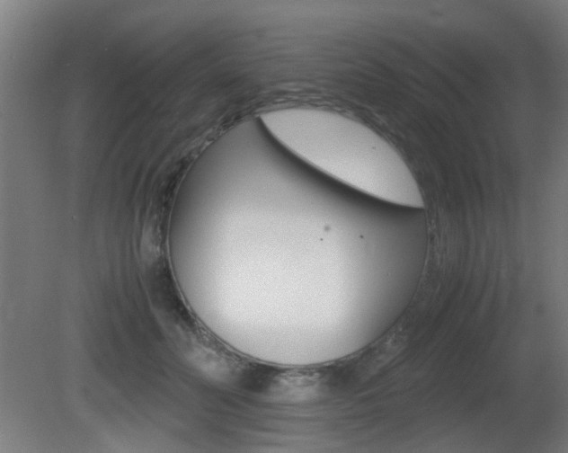 X0000081350606200701111108