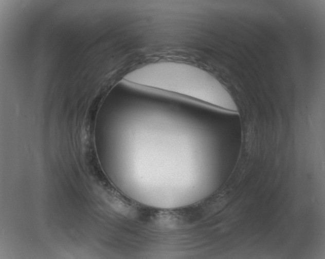 X0000081350608200701111108