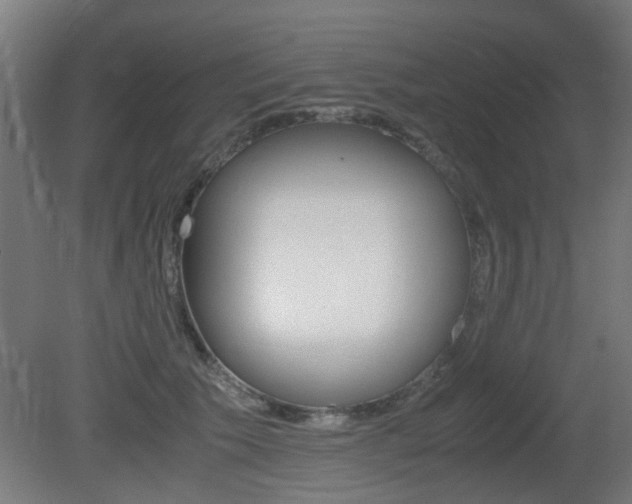 X0000081350609200701111108