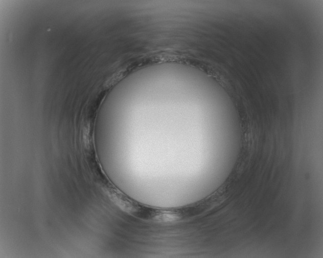 X0000081350610200701111108