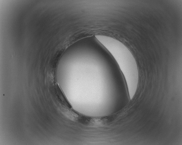 X0000081350613200701111108