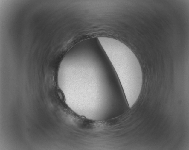 X0000081350615200701111108
