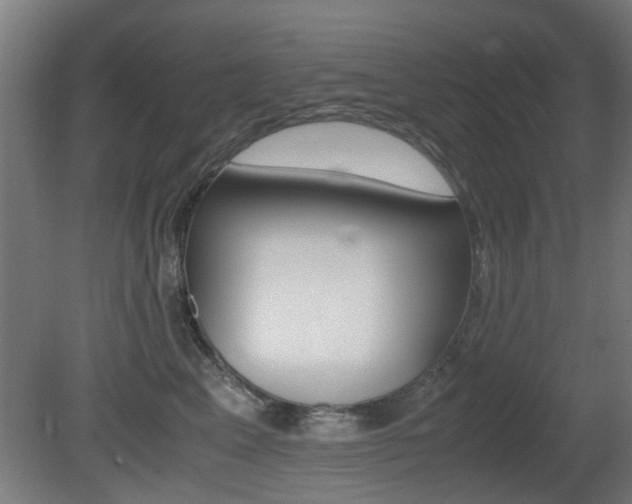 X0000081350617200701111108