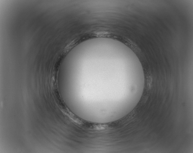 X0000081350618200701111108