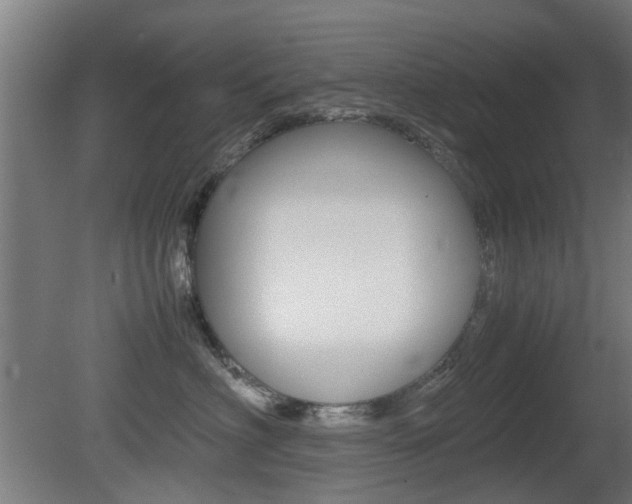 X0000081350622200701111108