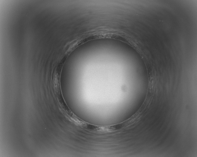 X0000081350623200701111107
