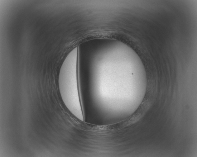 X0000081350624200701111107