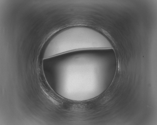 X0000081350627200701111107