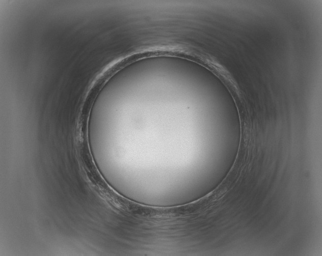 X0000081350628200701111107