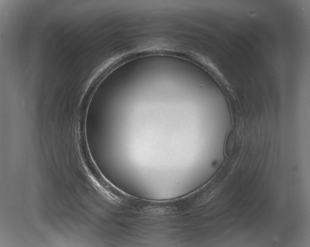 X0000081350629200701111107