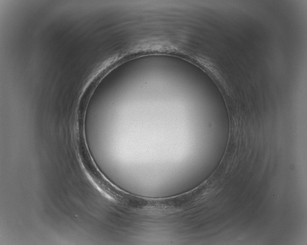 X0000081350630200701111107