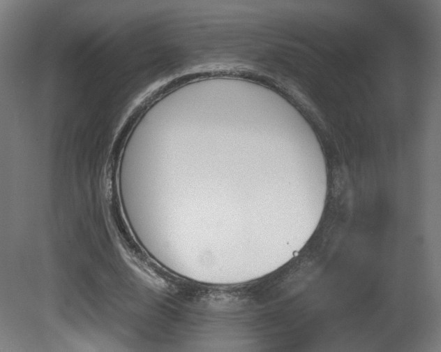 X0000081350632200701111107