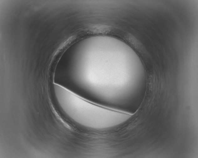 X0000081350634200701111107