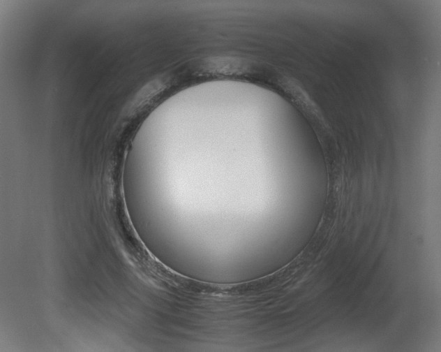 X0000081350635200701111107