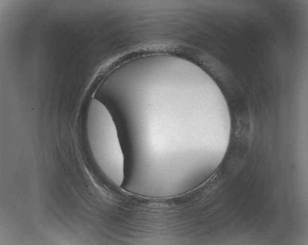 X0000081350636200701111107