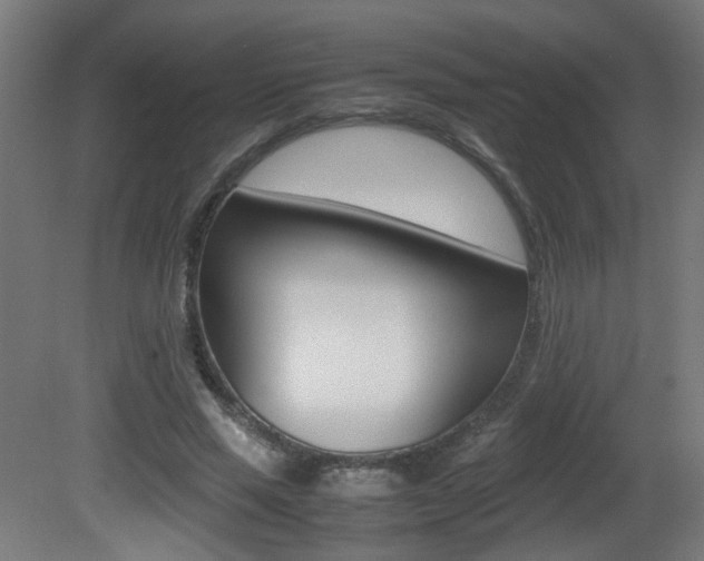 X0000081350637200701111107