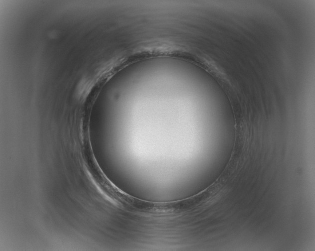 X0000081350638200701111107
