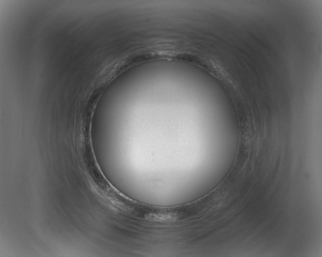 X0000081350639200701111107