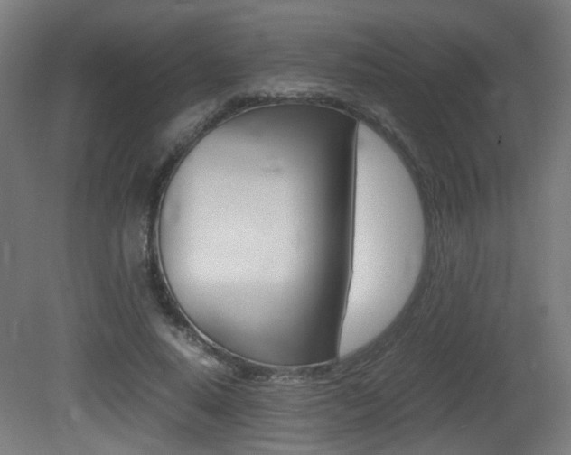 X0000081350640200701111107