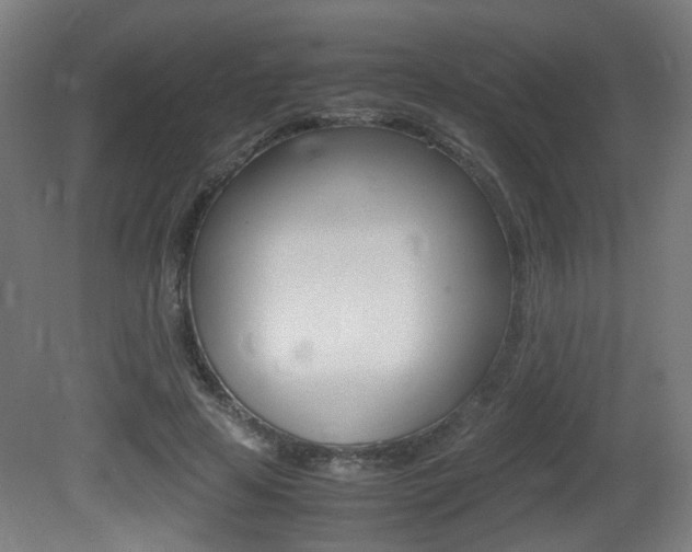 X0000081350641200701111107