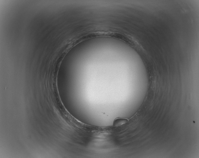 X0000081350643200701111107