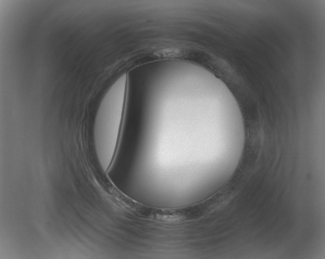 X0000081350645200701111107