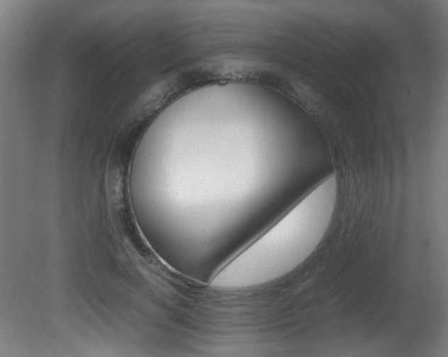 X0000081350646200701111107