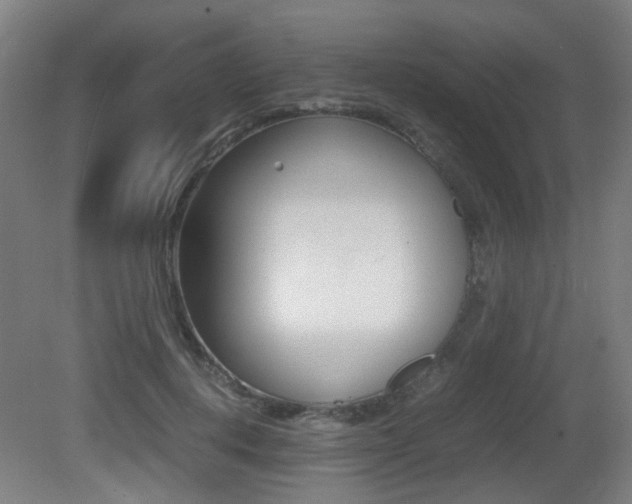 X0000081350648200701111107