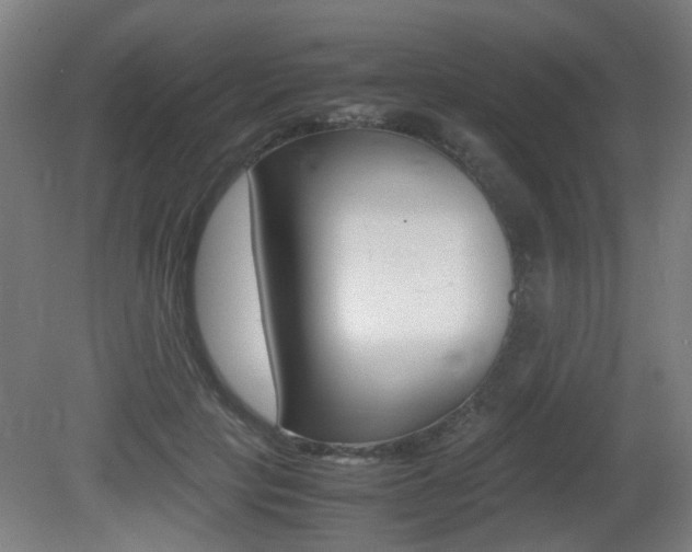 X0000081350649200701111107