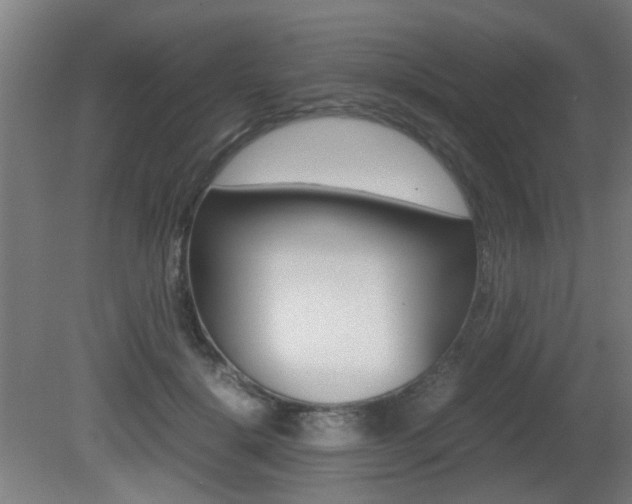 X0000081350652200701111107