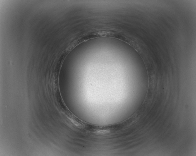 X0000081350653200701111107