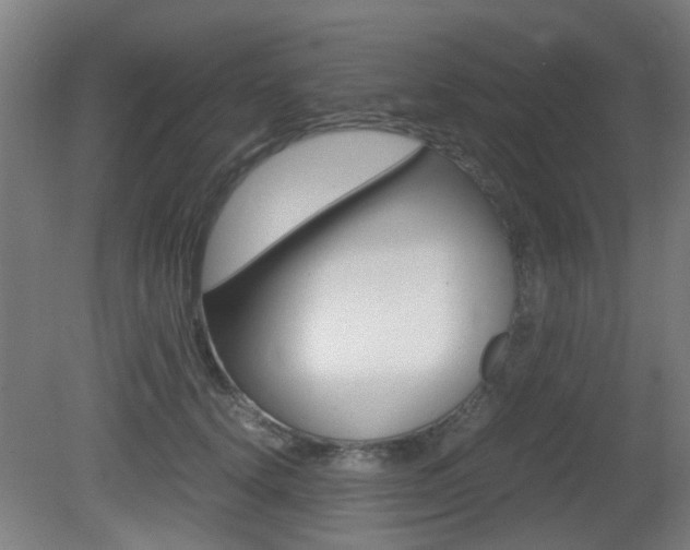 X0000081350656200701111107