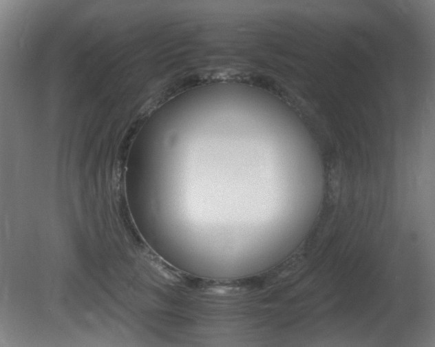 X0000081350657200701111107