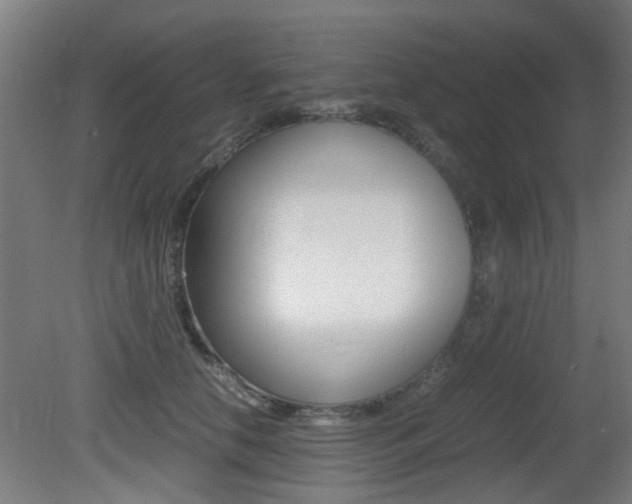 X0000081350658200701111107