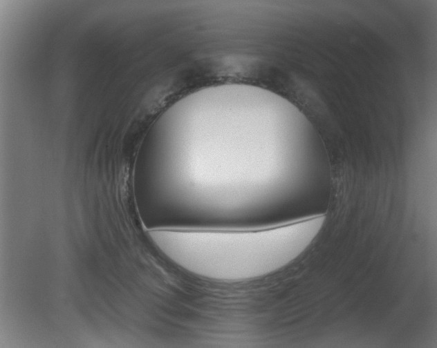 X0000081350660200701111107