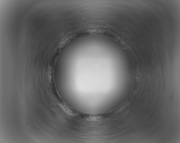 X0000081350664200701111107