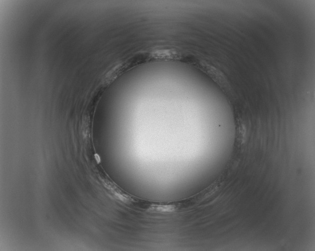 X0000081350665200701111107