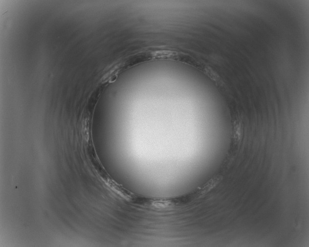 X0000081350666200701111107
