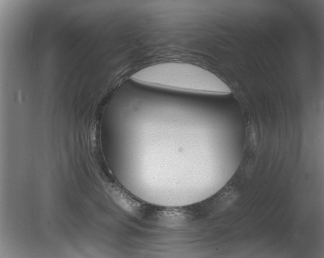 X0000081350668200701111107