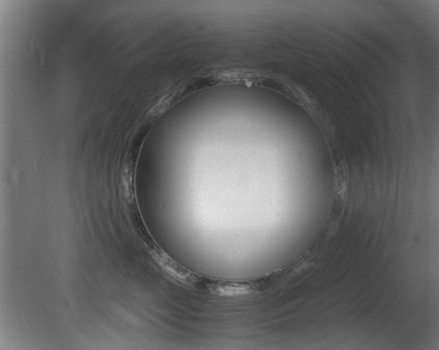 X0000081350669200701111107