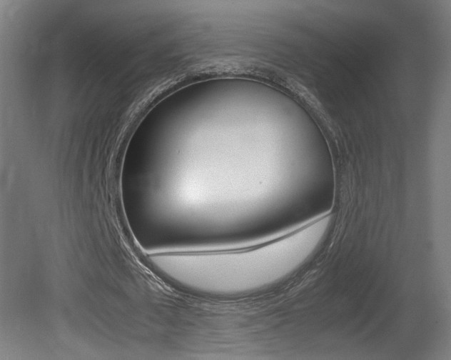 X0000081350673200701111107