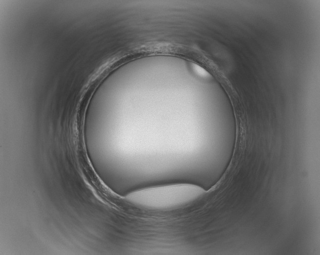 X0000081350674200701111107