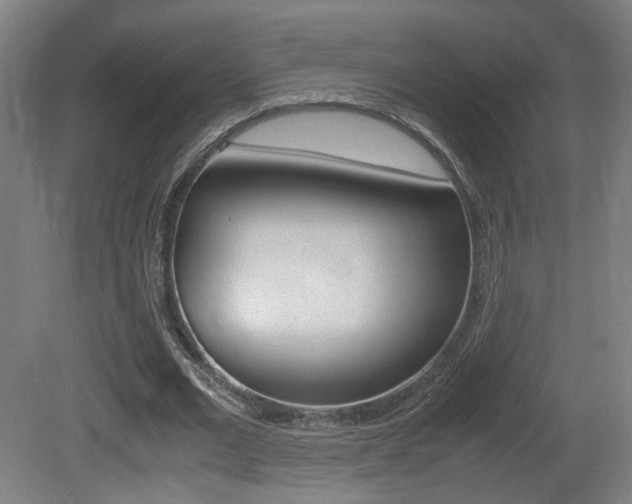 X0000081350677200701111107
