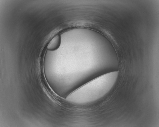 X0000081350678200701111107